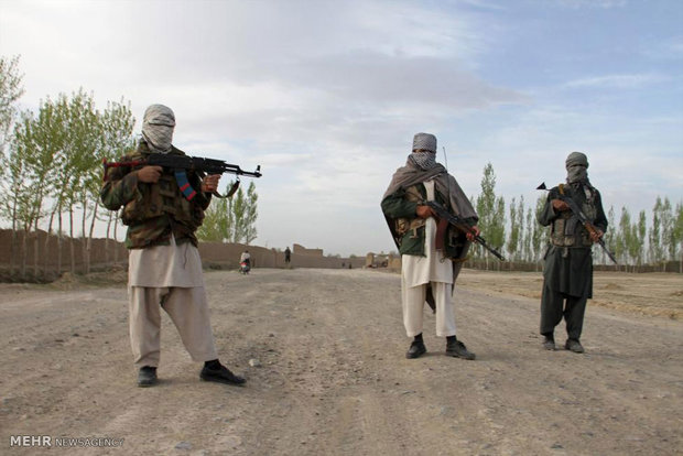 زندانی مخالفان مسلح در افغانستان-Persian-Hrald-Australia